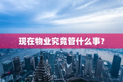 现在物业究竟管什么事？