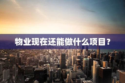 物业现在还能做什么项目？