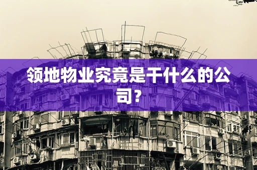 领地物业究竟是干什么的公司？