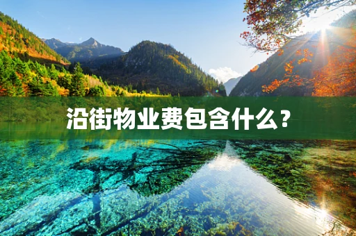 沿街物业费包含什么？