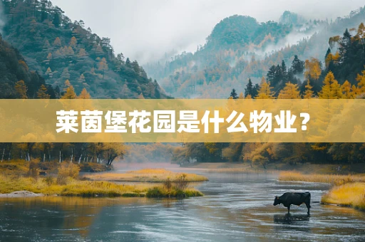 莱茵堡花园是什么物业？