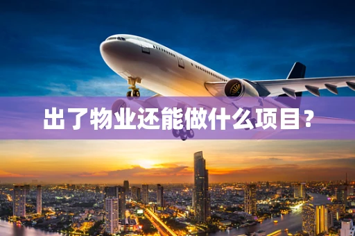 出了物业还能做什么项目？