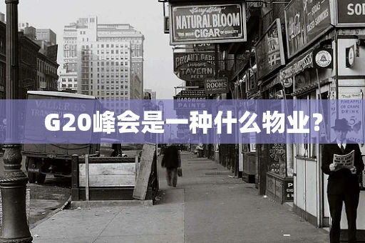 G20峰会是一种什么物业？