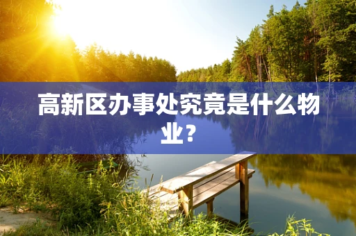 高新区办事处究竟是什么物业？