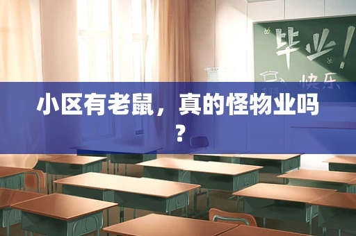 小区有老鼠，真的怪物业吗？