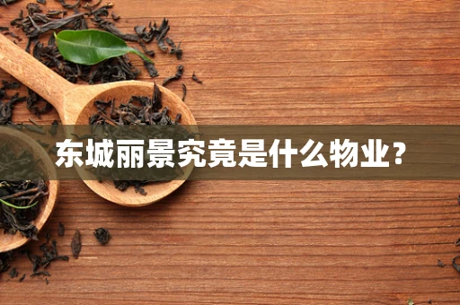 东城丽景究竟是什么物业？