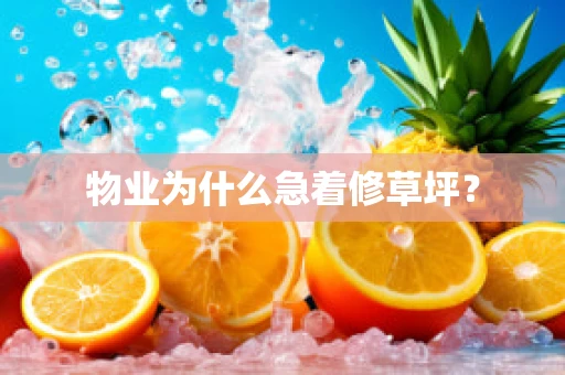 物业为什么急着修草坪？