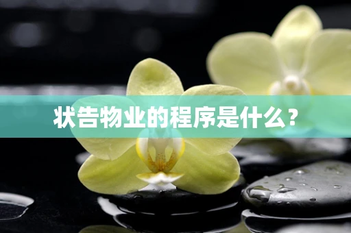 状告物业的程序是什么？