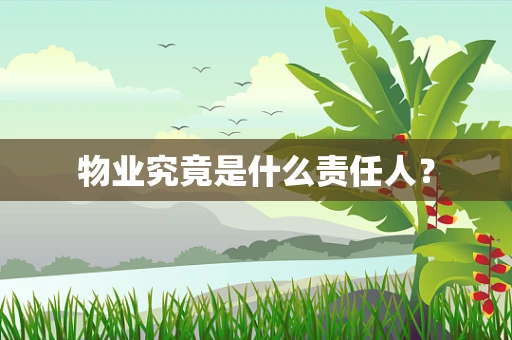 物业究竟是什么责任人？