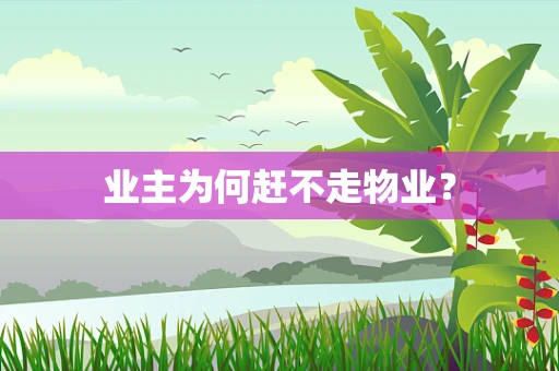 业主为何赶不走物业？