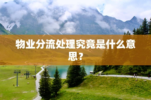 物业分流处理究竟是什么意思？