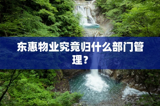 东惠物业究竟归什么部门管理？