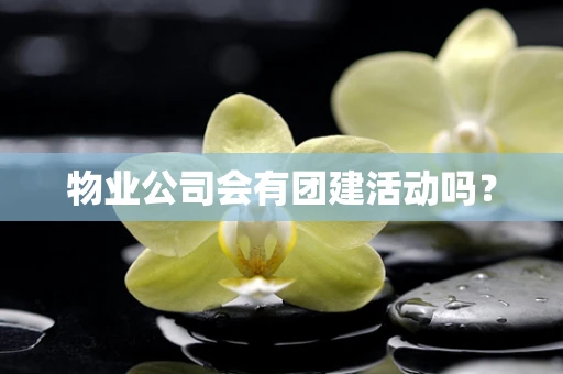 物业公司会有团建活动吗？