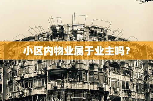小区内物业属于业主吗？
