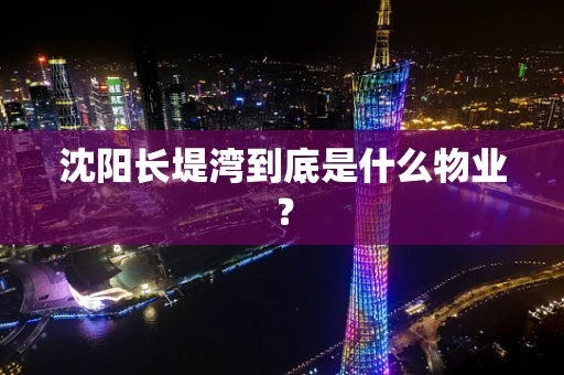 沈阳长堤湾到底是什么物业？