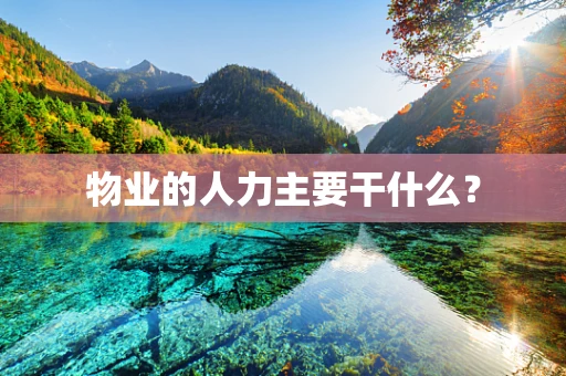 物业的人力主要干什么？