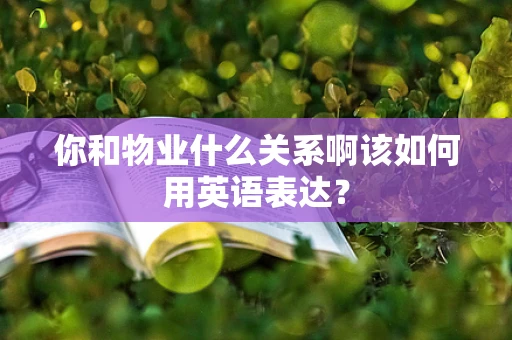 你和物业什么关系啊该如何用英语表达？