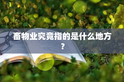 畜物业究竟指的是什么地方？