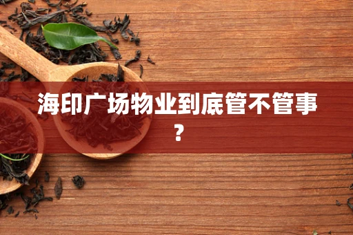 海印广场物业到底管不管事？