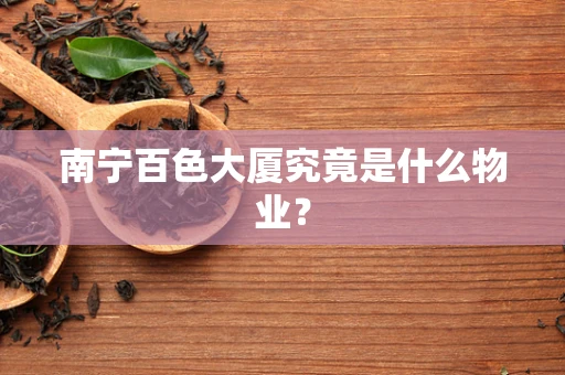 南宁百色大厦究竟是什么物业？