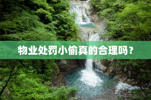 物业处罚小偷真的合理吗？