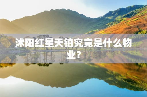 沭阳红星天铂究竟是什么物业？