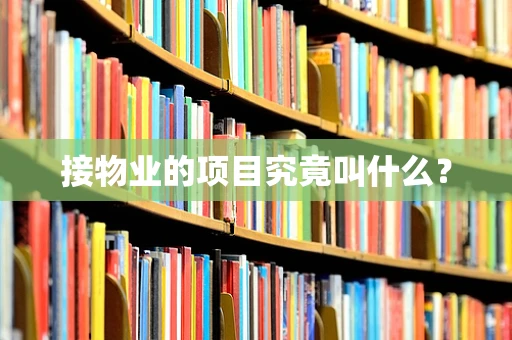 接物业的项目究竟叫什么？
