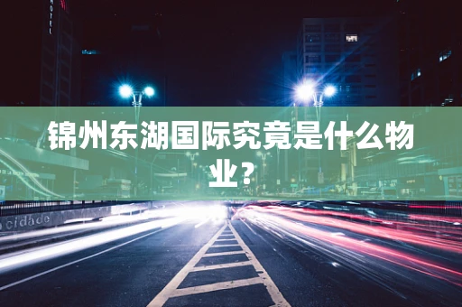 锦州东湖国际究竟是什么物业？