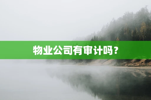 物业公司有审计吗？