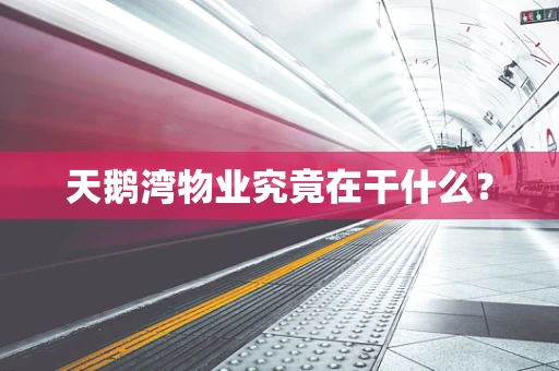 天鹅湾物业究竟在干什么？