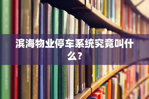 滨海物业停车系统究竟叫什么？