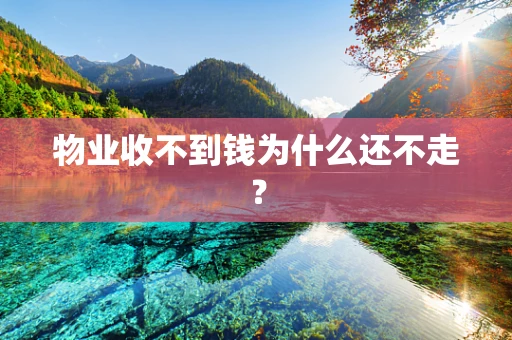 物业收不到钱为什么还不走？