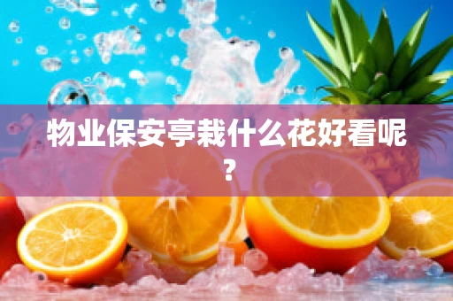 物业保安亭栽什么花好看呢？