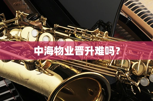 中海物业晋升难吗？