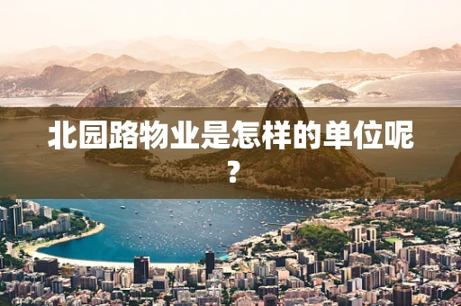 北园路物业是怎样的单位呢？
