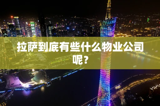 拉萨到底有些什么物业公司呢？