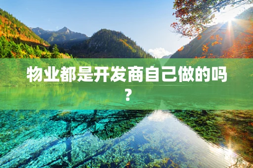 物业都是开发商自己做的吗？