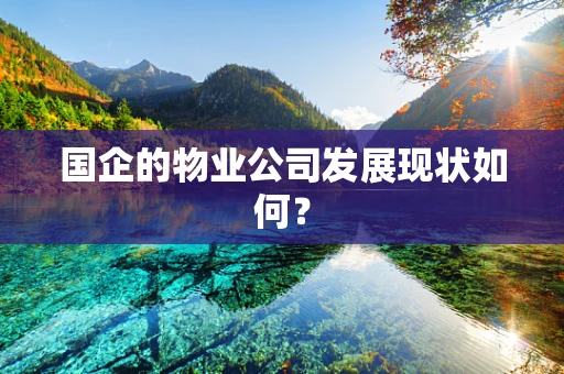 国企的物业公司发展现状如何？