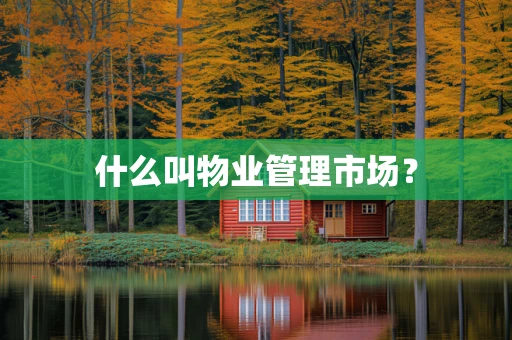 什么叫物业管理市场？