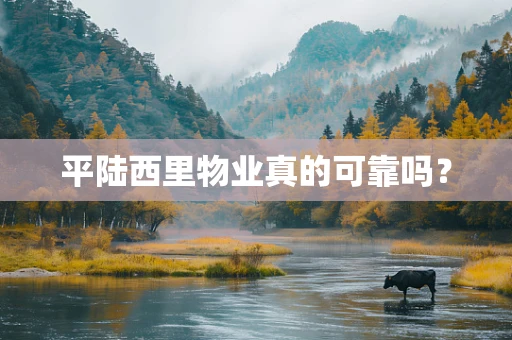 平陆西里物业真的可靠吗？