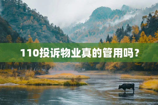 110投诉物业真的管用吗？