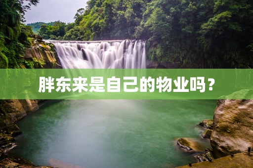 胖东来是自己的物业吗？