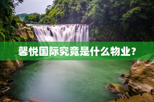 馨悦国际究竟是什么物业？