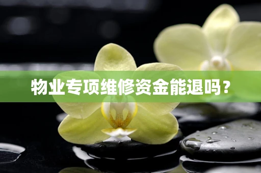 物业专项维修资金能退吗？