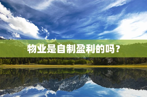 物业是自制盈利的吗？