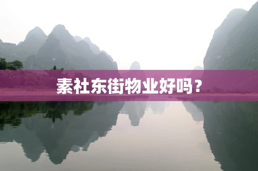 素社东街物业好吗？