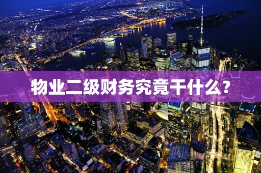 物业二级财务究竟干什么？