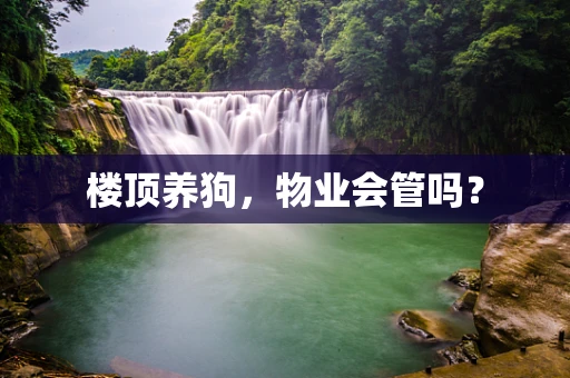 楼顶养狗，物业会管吗？