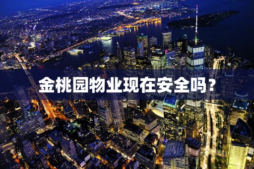 金桃园物业现在安全吗？