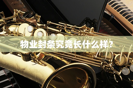 物业封条究竟长什么样？